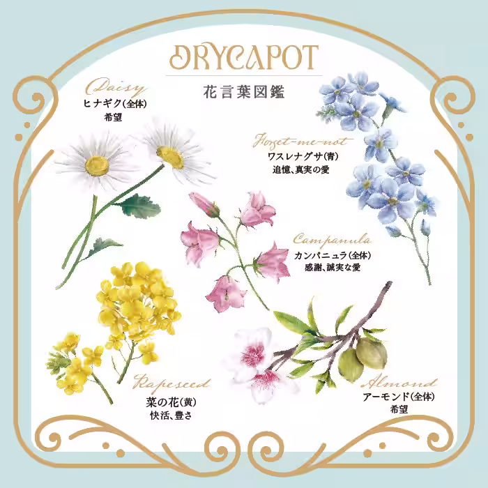 画像20