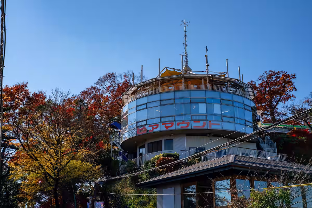 画像6