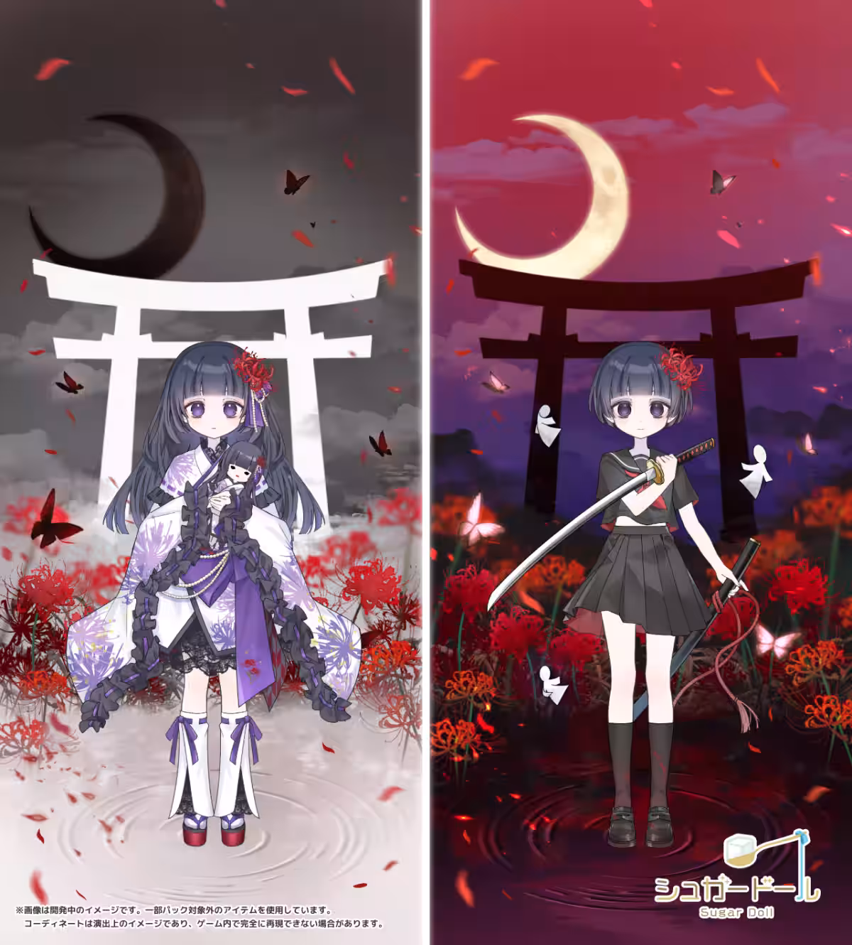 画像5