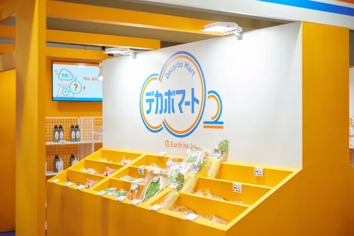 画像9