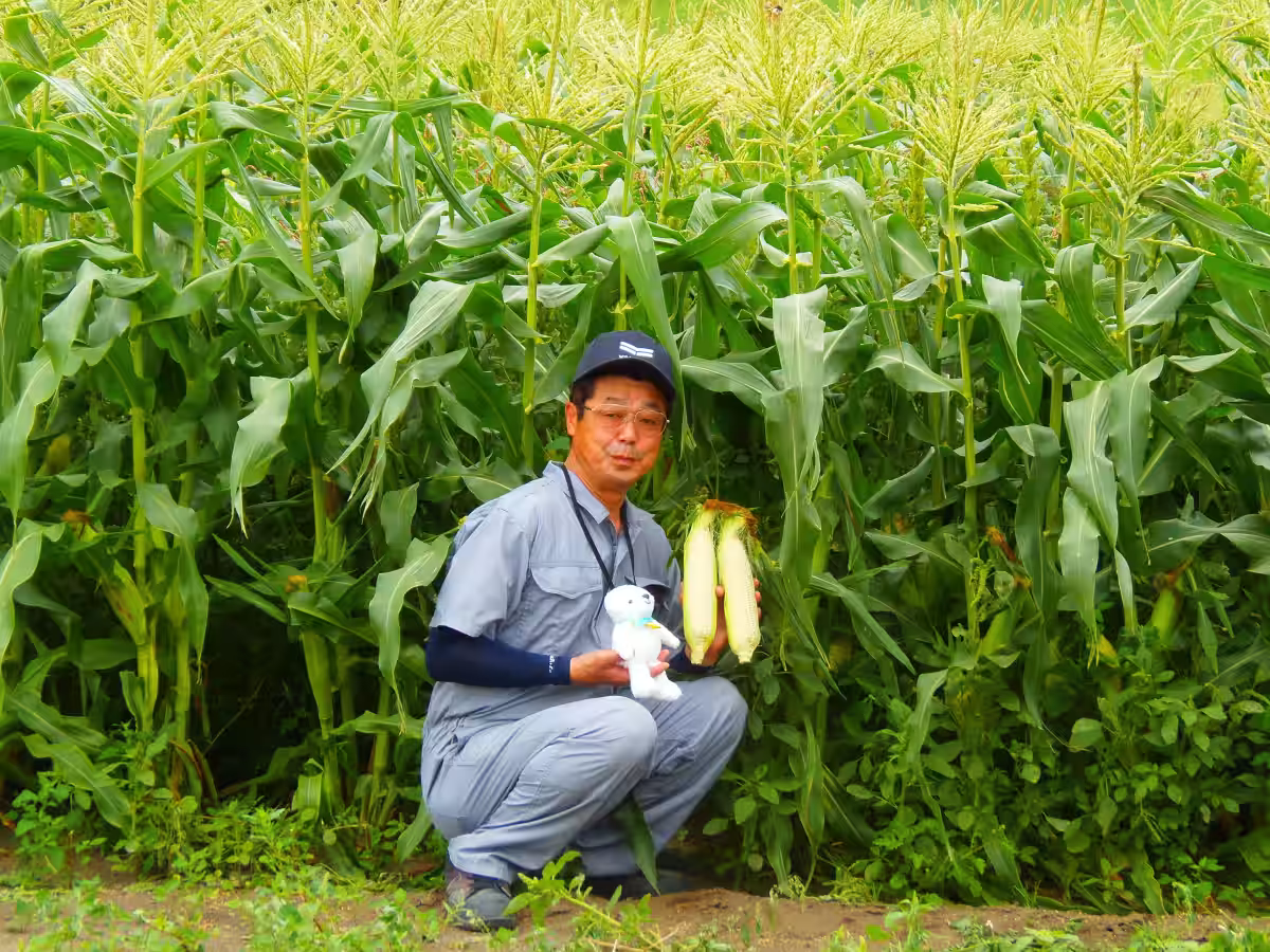 画像5