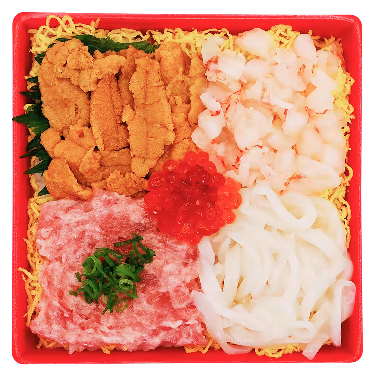 画像14