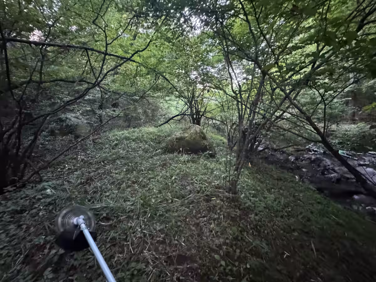 画像13