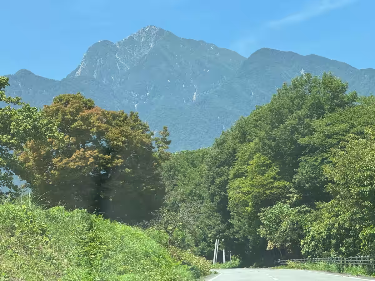 画像8