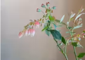 画像12