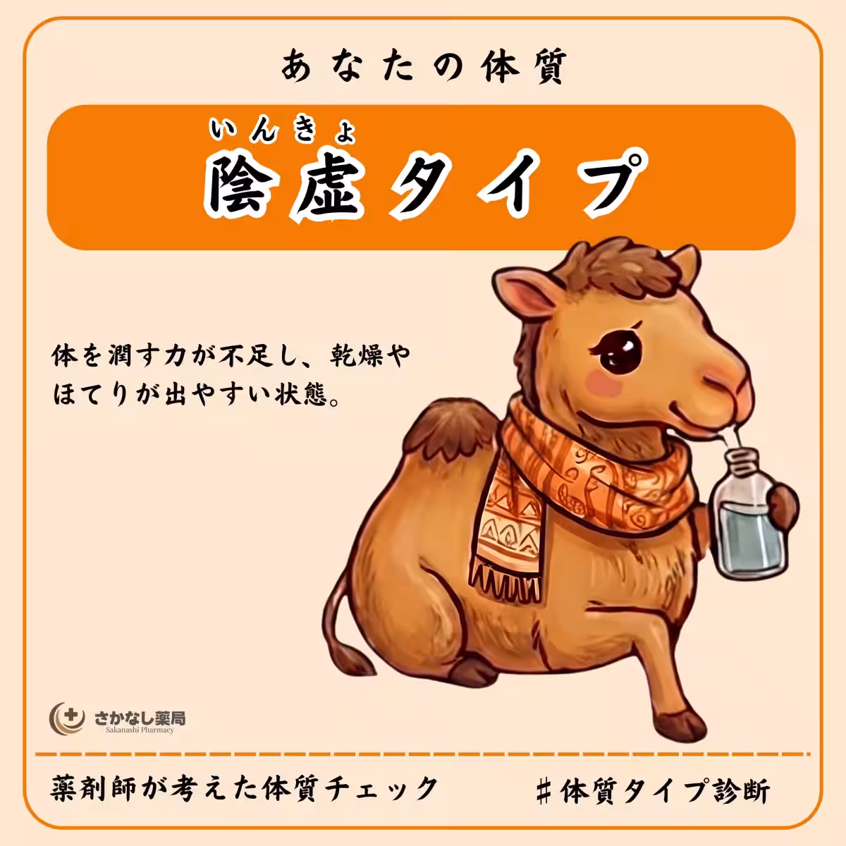 画像18