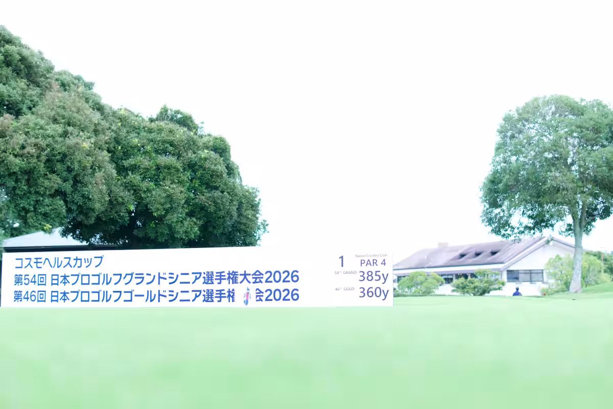 画像8
