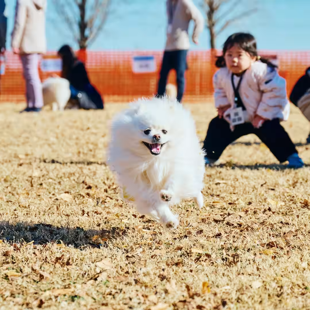 画像11