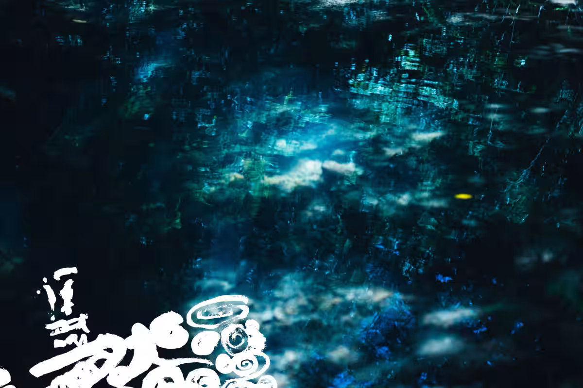 画像8
