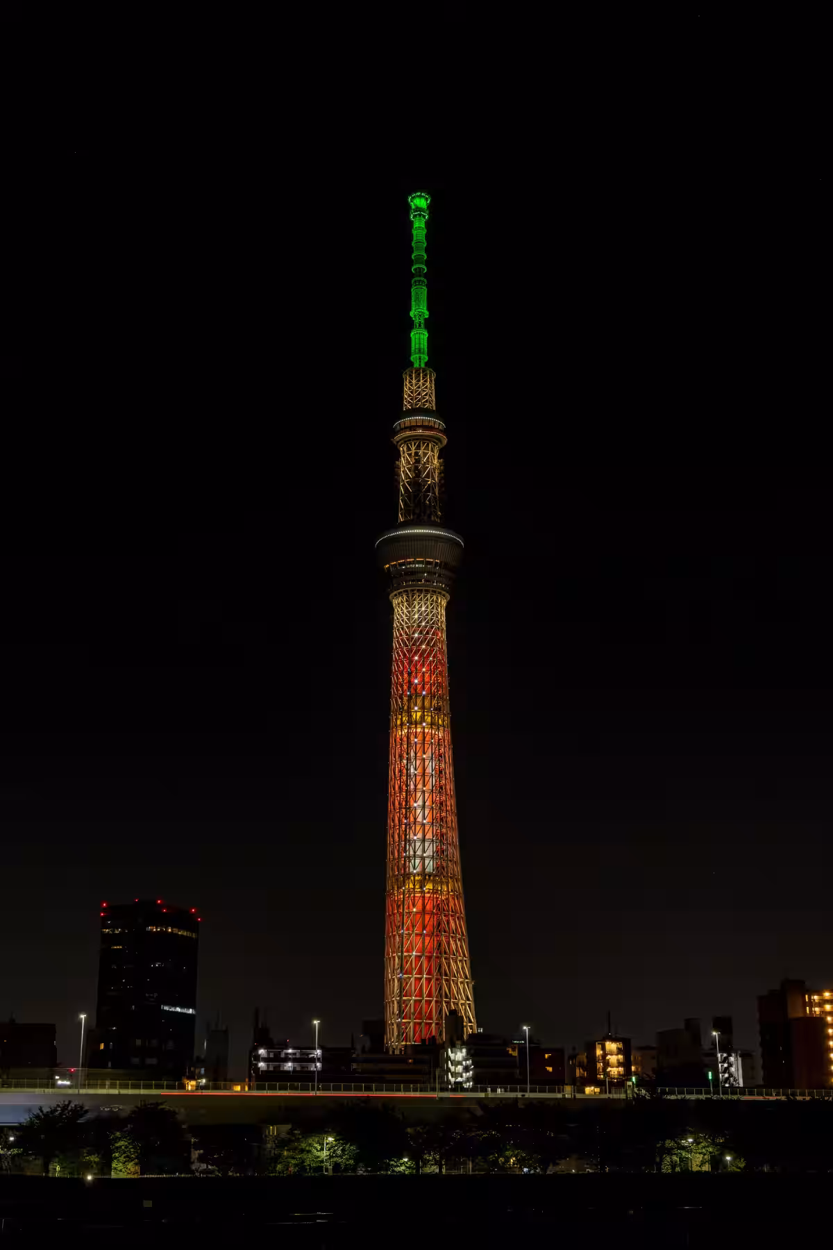 画像19