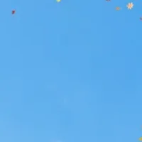 秋の東京スカイツリー