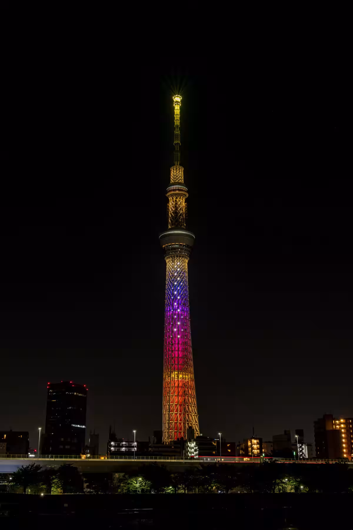 画像16