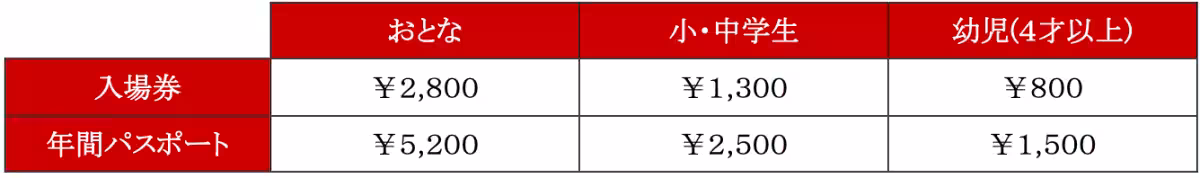 画像14