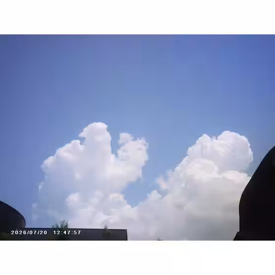 画像17