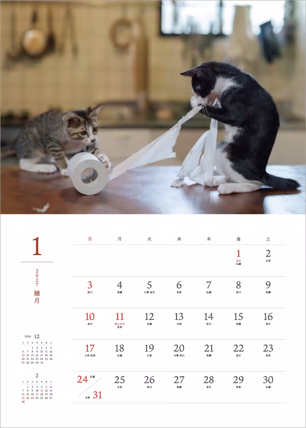 画像5