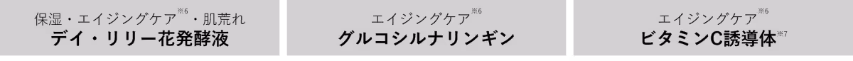画像12