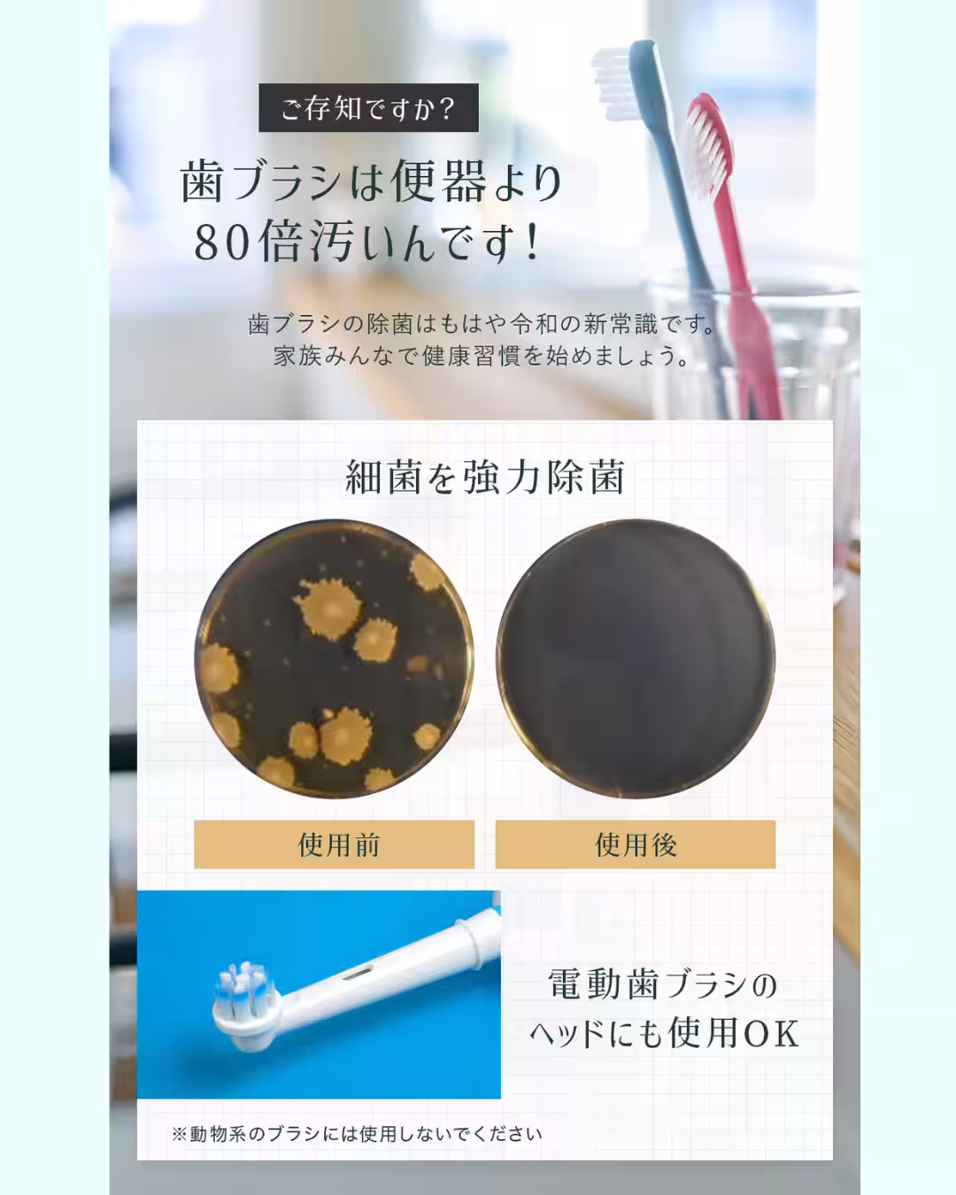 画像13