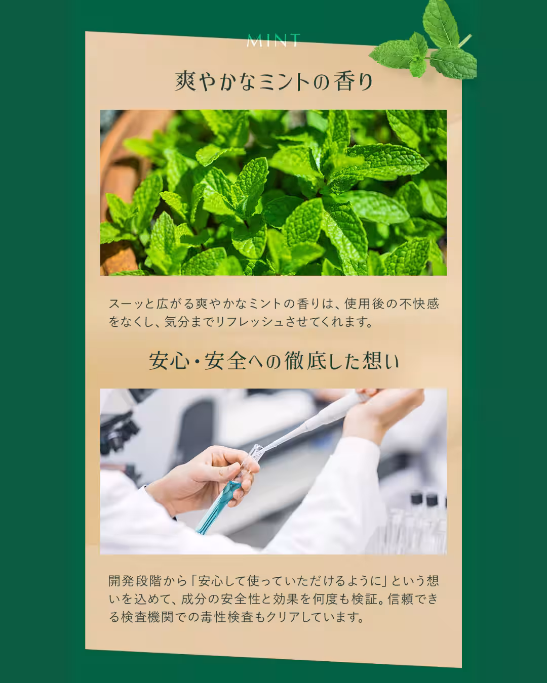 画像14