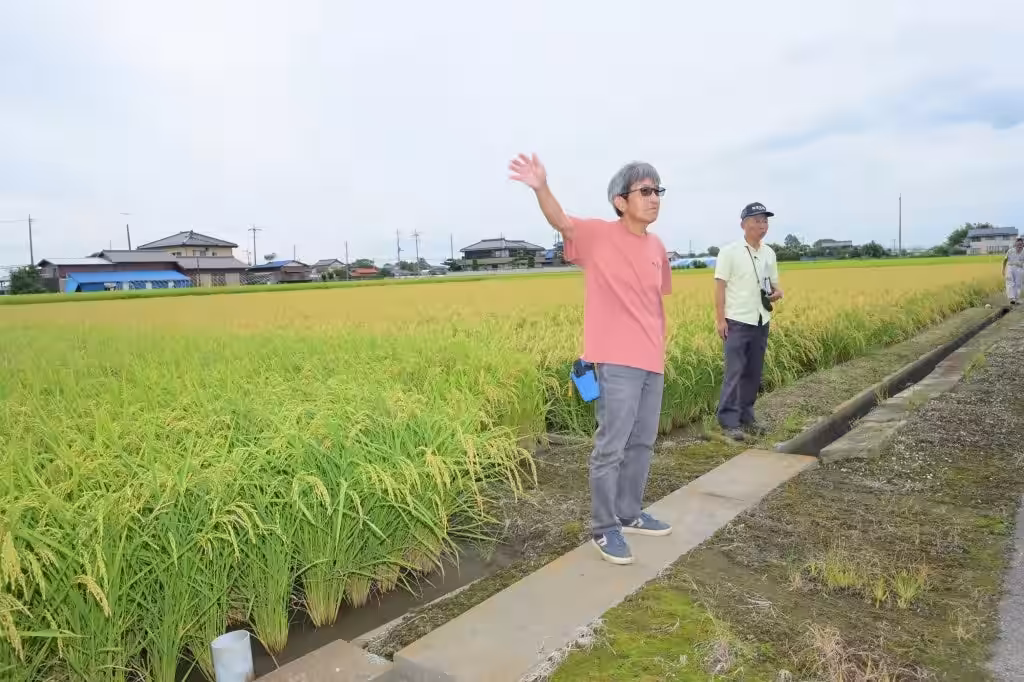 画像6