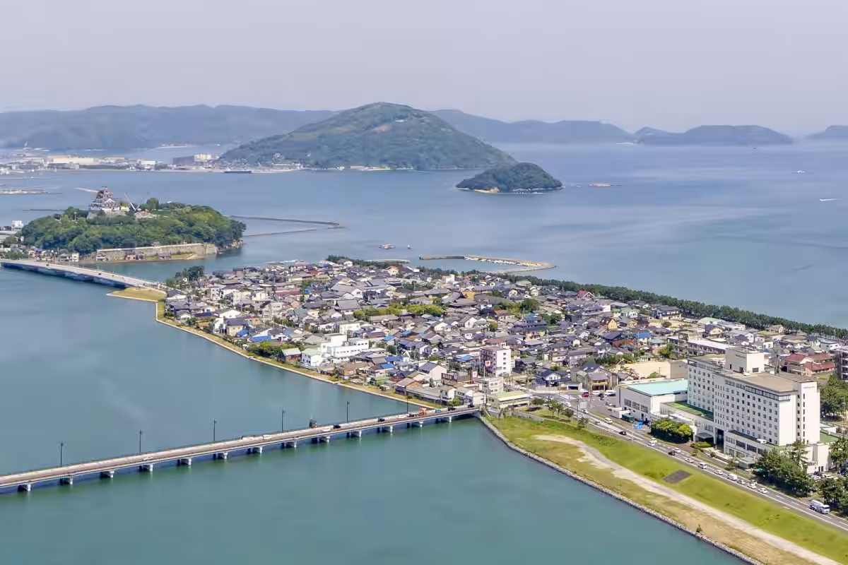 画像8
