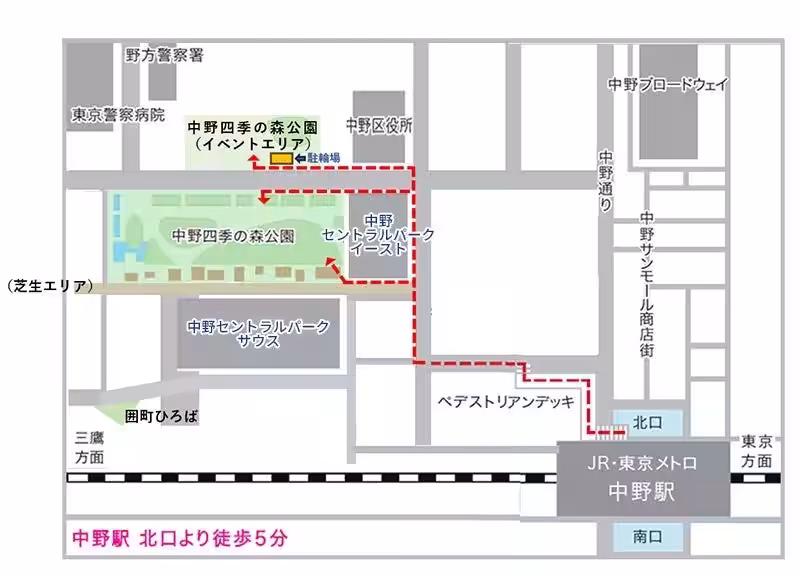 画像12