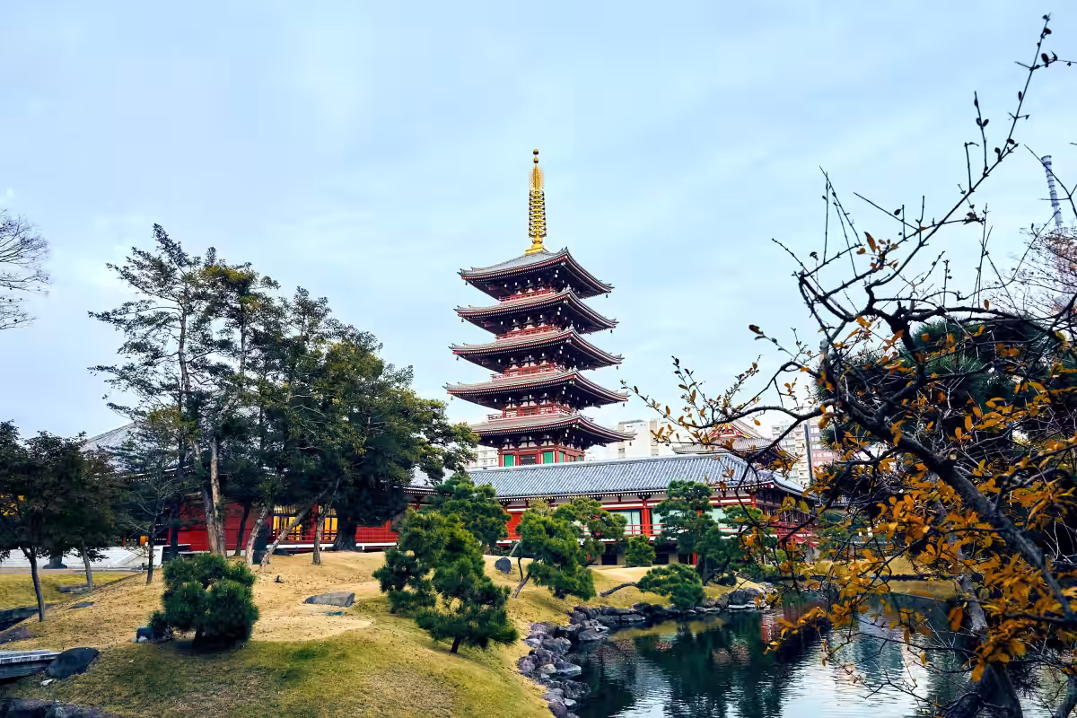 画像28
