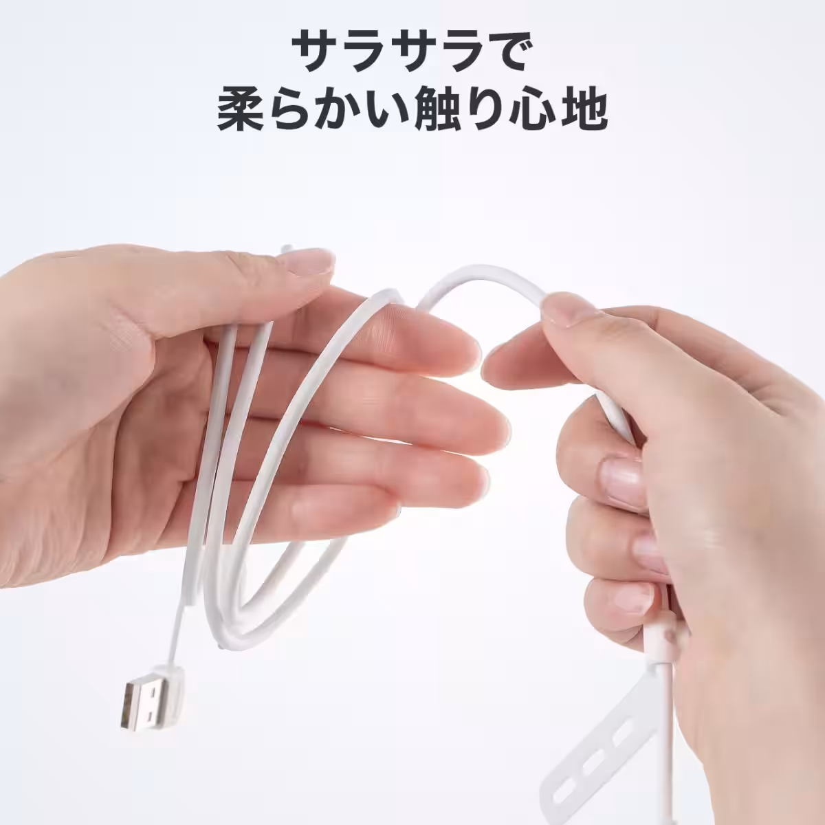 画像12