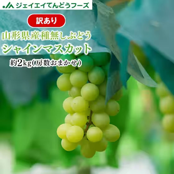 画像13