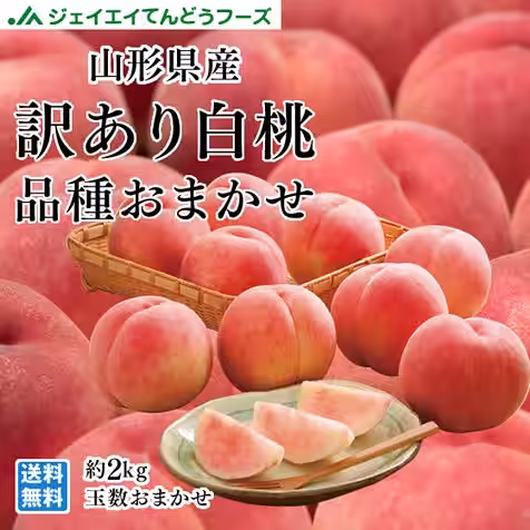 画像11