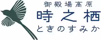 画像11