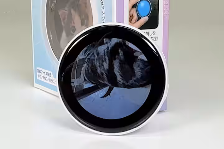 画像11