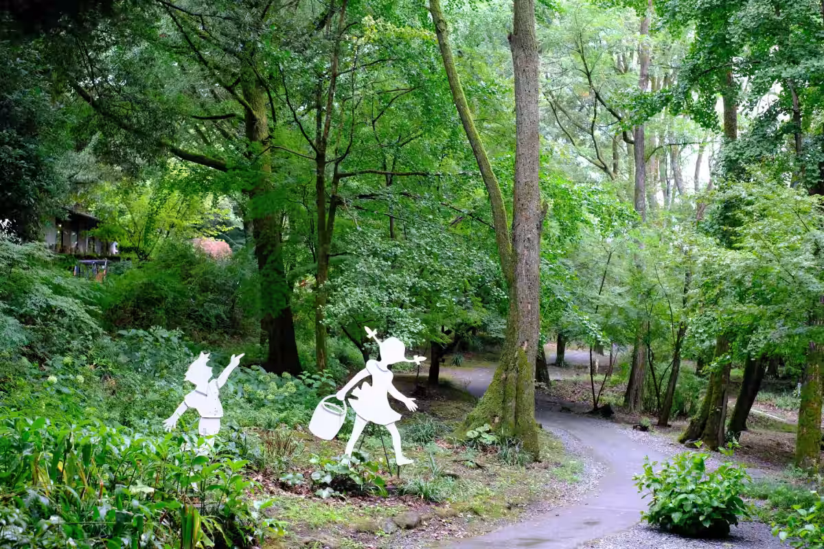 画像7