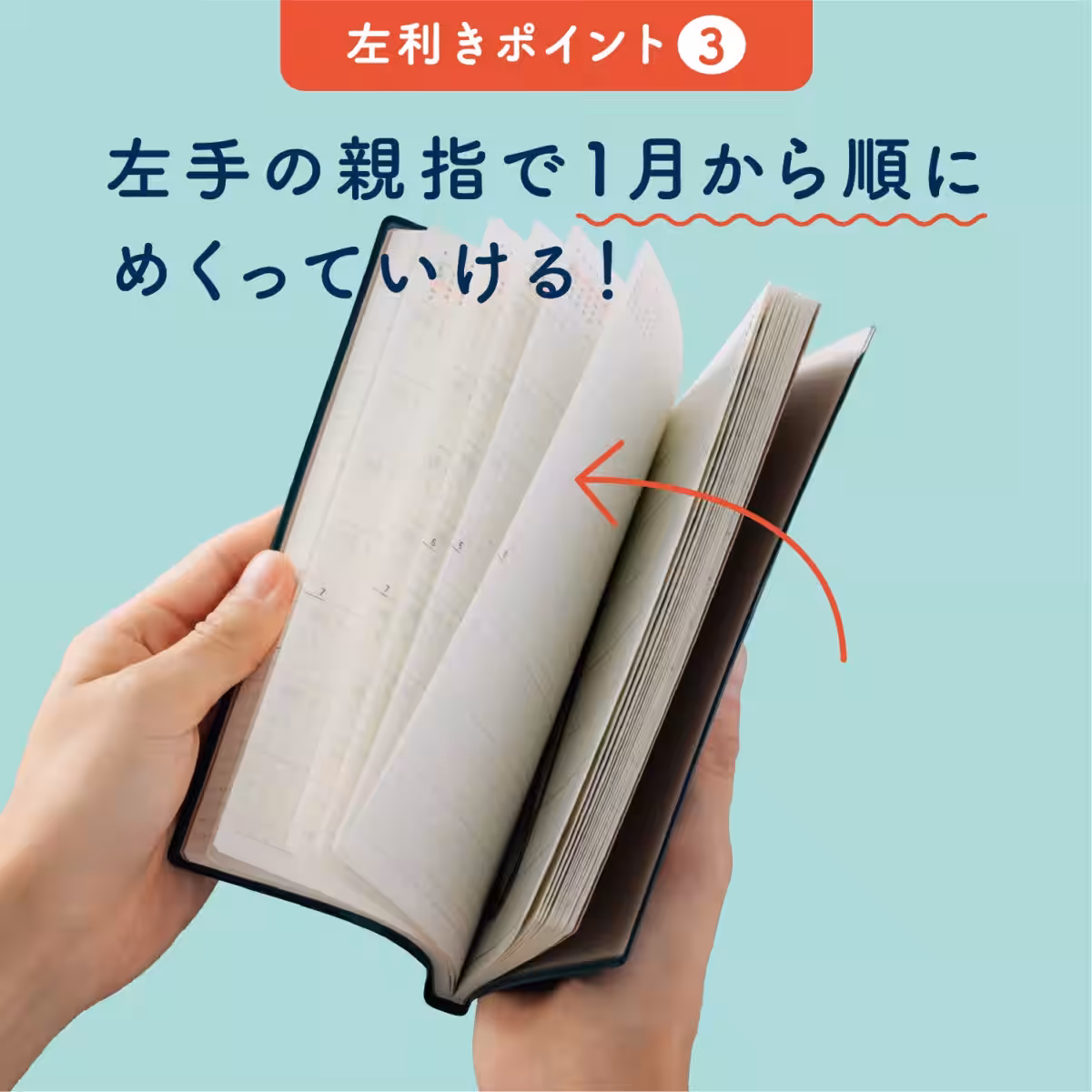 画像6