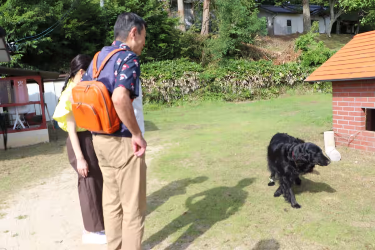 画像8