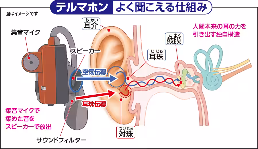 画像7