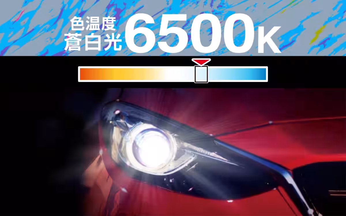 画像5