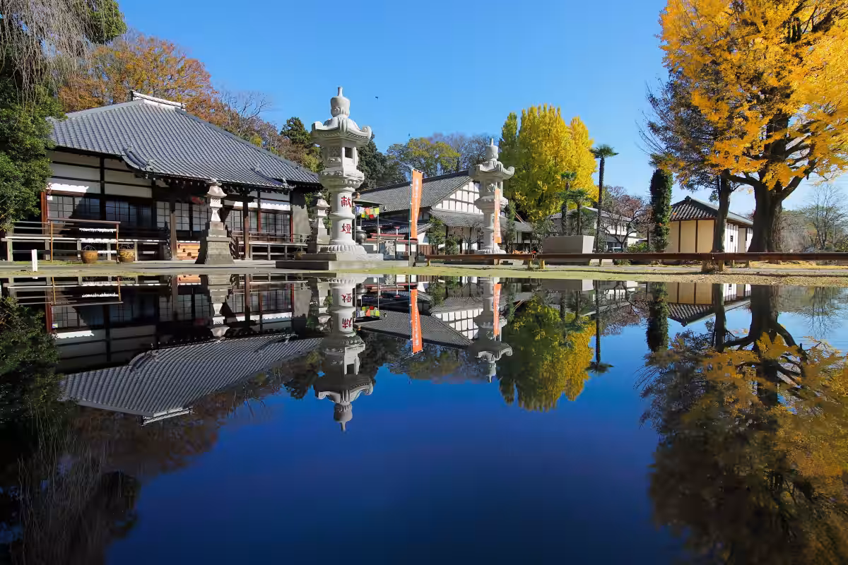 画像6