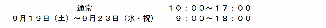 画像12