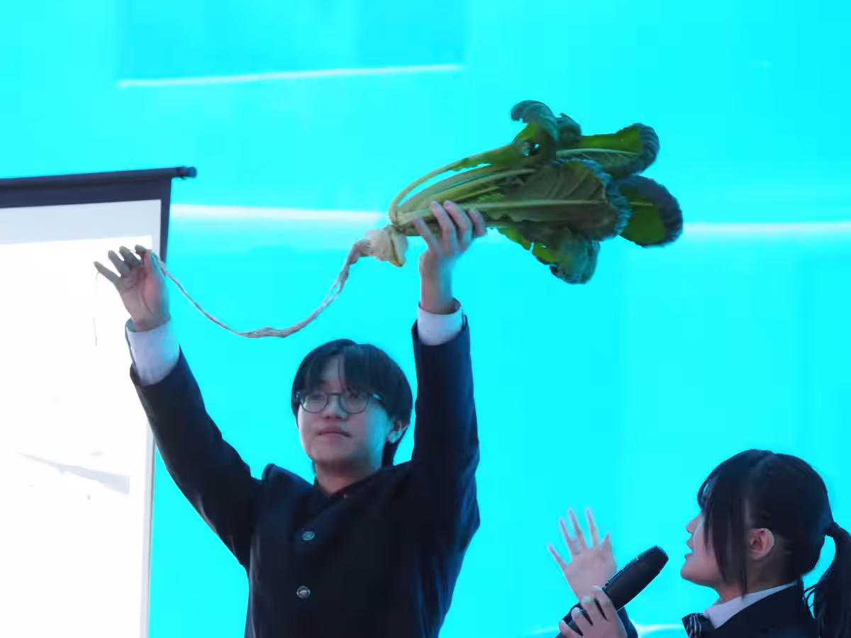 画像6