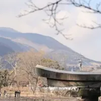 大分県宿泊代行開始