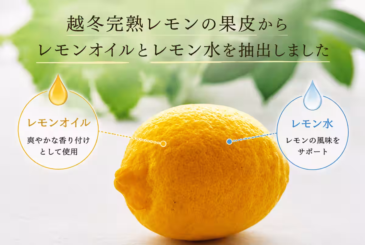 画像19