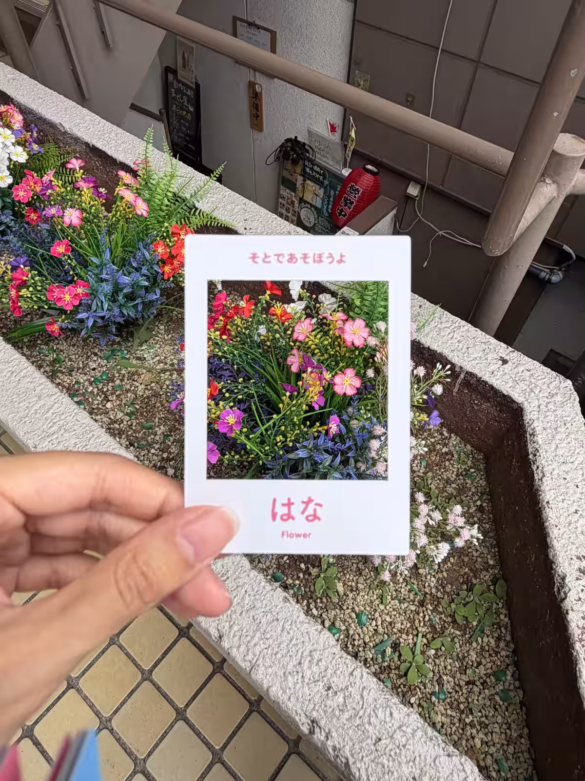 画像18