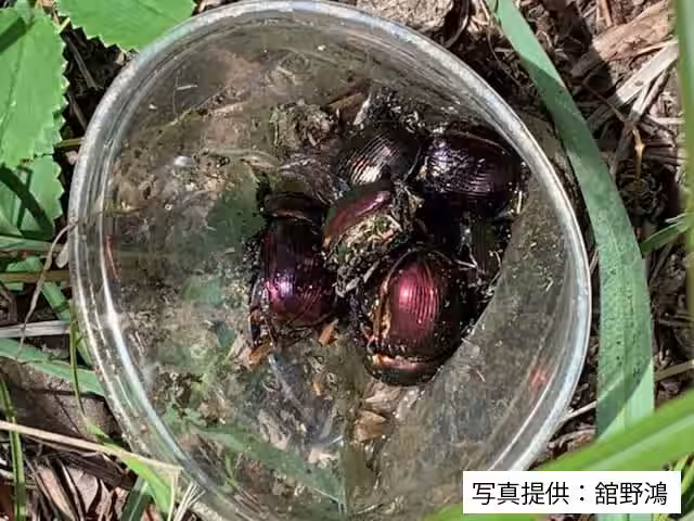 画像4