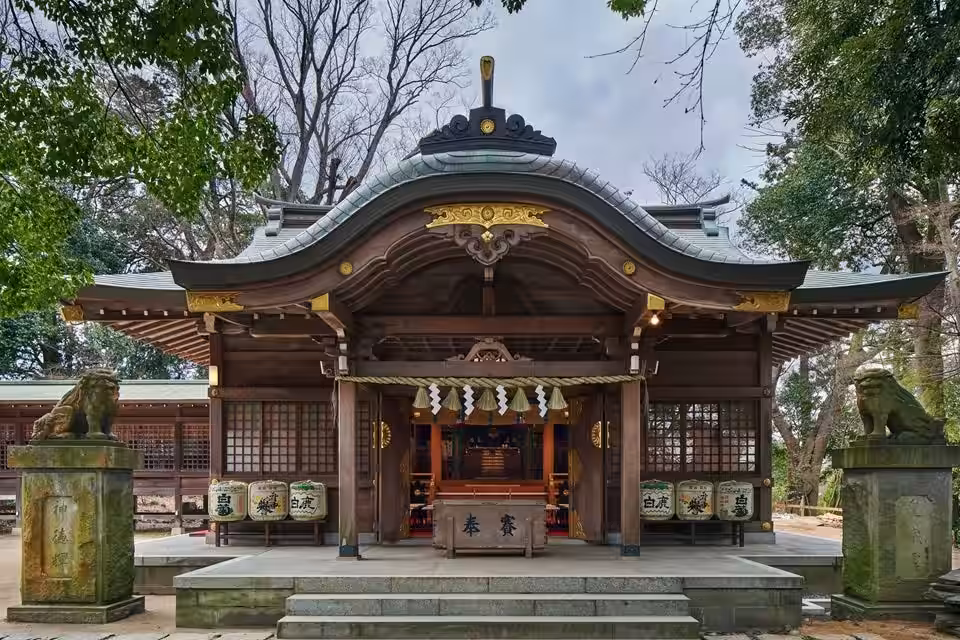 画像5