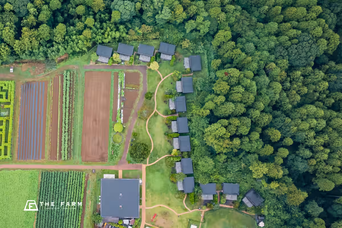画像13