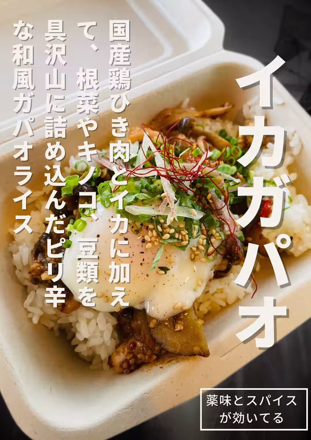 画像12