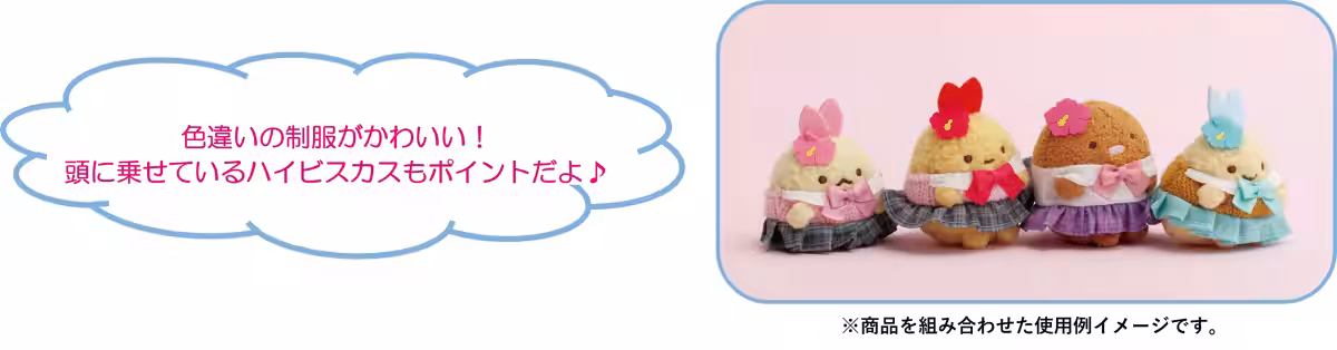 画像7