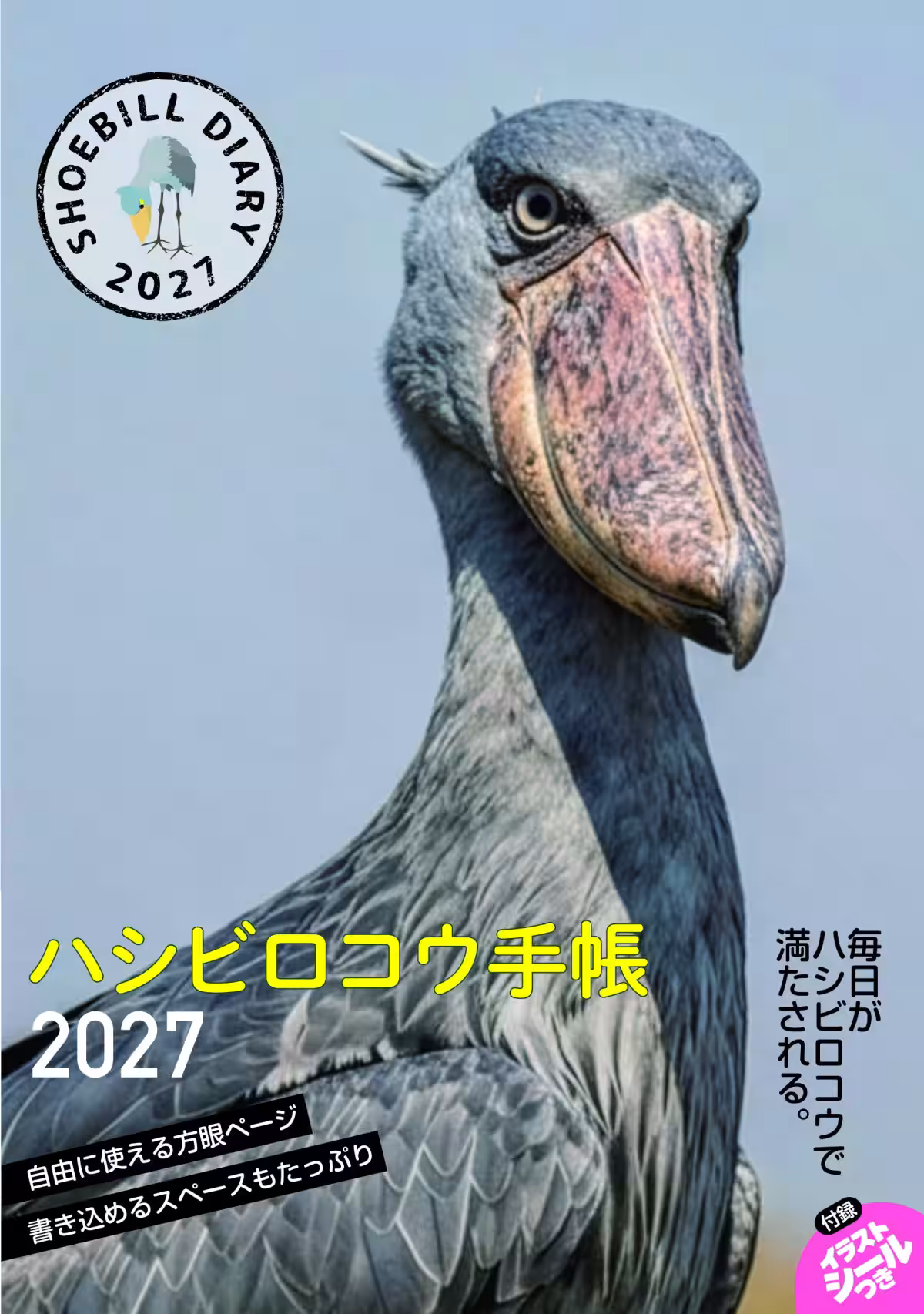 画像7