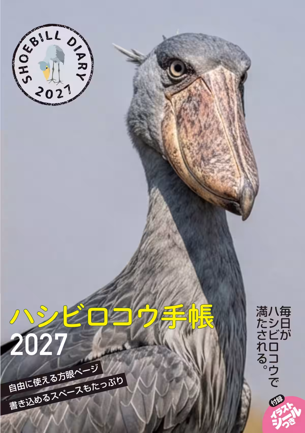 画像13