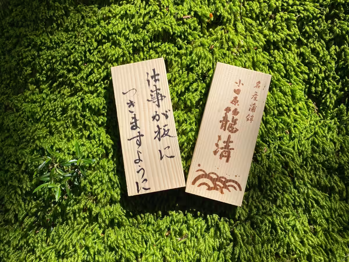 画像7